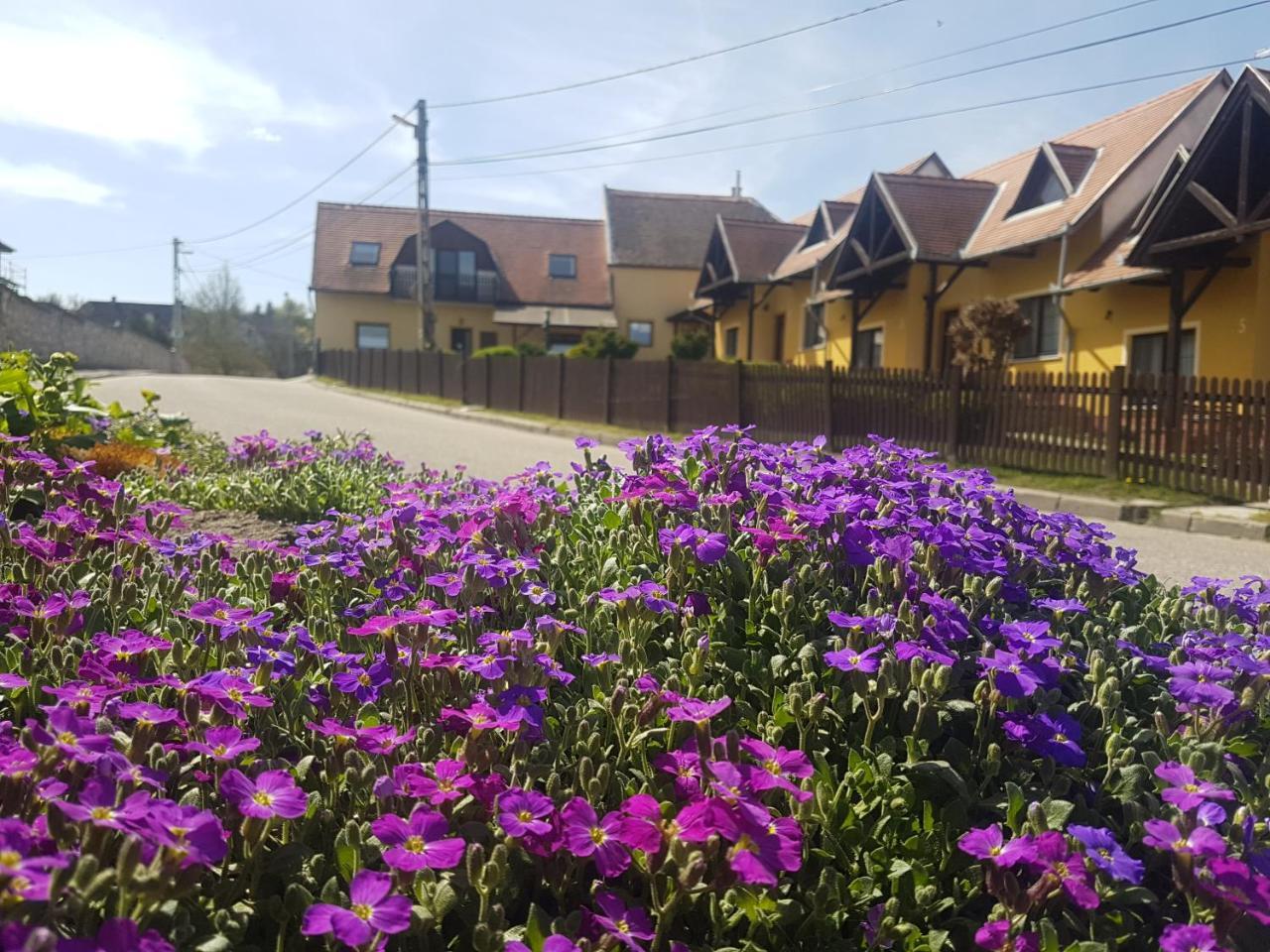 Bed and Breakfast Huber Panzió Fertőrákos Exterior foto